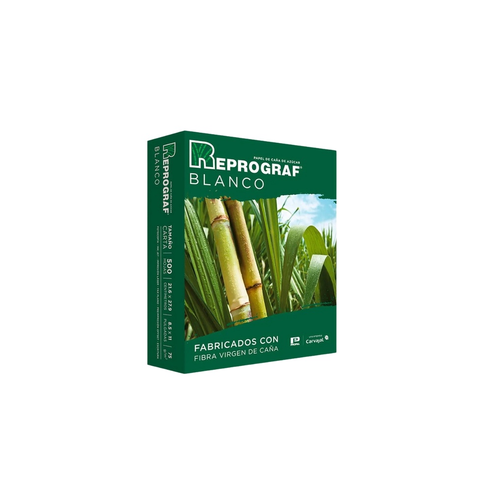 Kit de 2 Cartuchos Hp 667 Negro + Resma