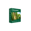 Kit de 2 Cartuchos Hp 667 Negro + Resma