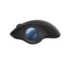 MOUSE ERGO M575 WIRELESS TRACKBALL NEGRO