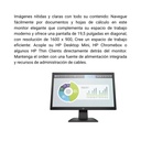 Monitor HP P204v de 19,5" Negro