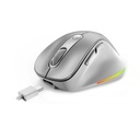Mouse GENIUS Ergo 9000s pro Plateado