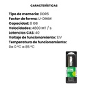MEMORIA ADATA  RAM PC DDR5 8GB BUS 4800