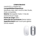 Magic Mouse Inalámbrico Apple A3204 Óptico Recargable - Blanco