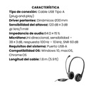 Diadema Hp Estéreo Con Conexión USB Negro