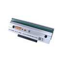 Kit de Cabezal de Impresión Zebra 203 dpi ZT610, ZT610R