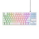 Combo trust Gxt 794W 3 en 1 Teclado Thado, Mouse Felox inalambrico y pad mouse 