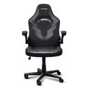 Silla gamer Trust Gxt 703 Riye Negra