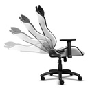 Silla Gamer Ergonomica trust Gxt 714B Ruya Negra Blanca