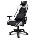 Silla Gamer Ergonomica trust Gxt 714B Ruya Negra Blanca