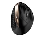 Additional Image for Mouse GENIUS Ergo  8250 Dorado Tipo: Optico/Botones: 6/Resolucion: 800 / 1200 / 1600 DPI/Interfaz: 2.4 GHz/Puerto USB/Alcance: 10 metros (sin interrumpir)/Alimentacion: 1 pila AA (incluida)/Medidas: 111.2 x 78.3 x 73.8 mm/Peso: 97 gr