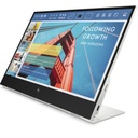 Monitor Portátil HP E14 G4 FHD 14" Gris
