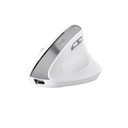 Mouse Trust Bayo II Inalámbrico Vertical Ergo Blanco