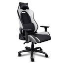 Silla Gamer Ergonomica trust Gxt 714B Ruya Negra Blanca