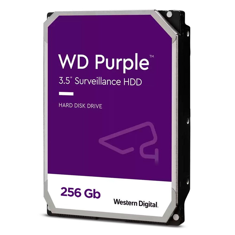 Disco Duro WESTERN DIGITAL 256gb - Purple