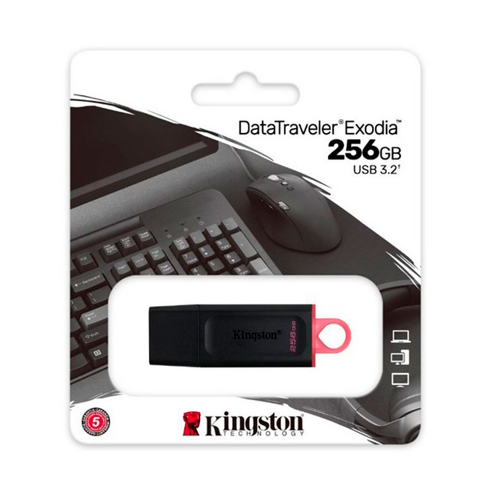 Memoria USB Kingston Negra Y Rosa 256GB 3.2 Gen 1