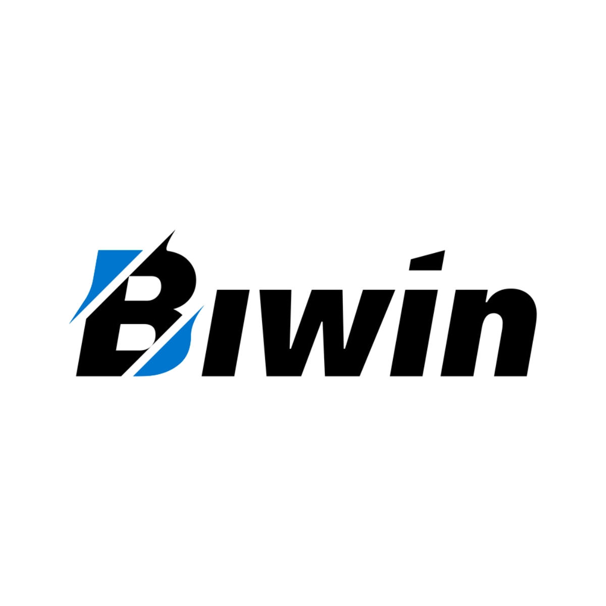 Marca: BIWIN