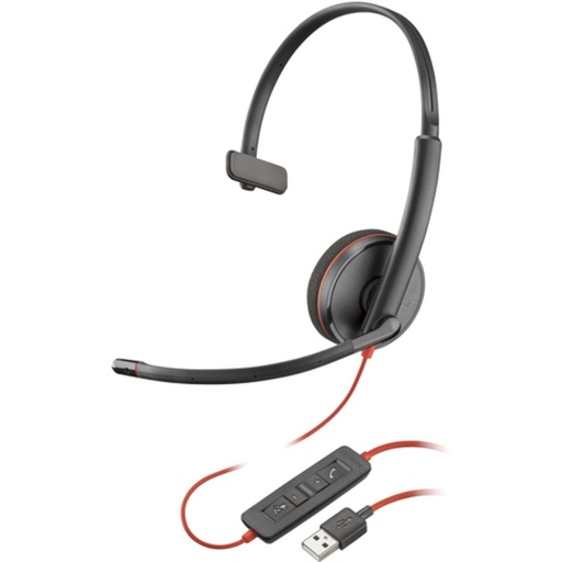 Audio